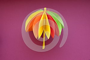 Beautiful handicraft colored origami umbrella