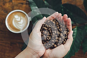 Beautiful hands holding coffee beans As a raw material for making coffee Refreshing drink Useful for the body with a glass coffee