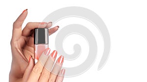 Beautiful Hands with Perfect Shiny Pink Manicure Holding Nail Polish Lacqueron White Background. Copy Space