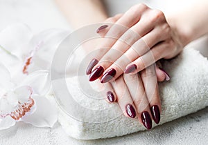 Hands of a young woman with dark red manicure on nails