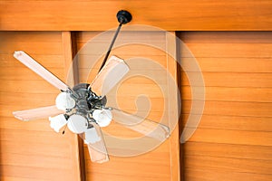 Beautiful hanging ceiling fan