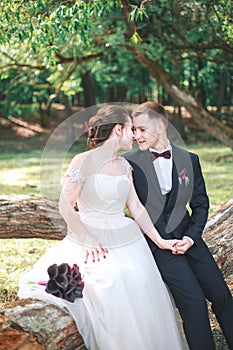 Beautiful happy bride and groom sitting on a log in the park. . Wedding day. Beautiful bride and elegant groom