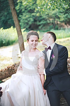 Beautiful happy bride and groom sitting on a log in the park. . Wedding day. Beautiful bride and elegant groom