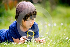 Beautiful happy child, boy, exploring nature with magnifying glass, summertime