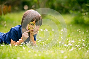 Beautiful happy child, boy, exploring nature with magnifying glass, summertime