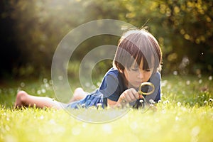 Beautiful happy child, boy, exploring nature with magnifying glass, summertime