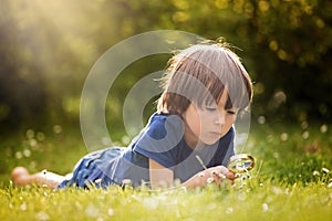 Beautiful happy child, boy, exploring nature with magnifying glass, summertime