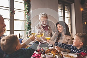 Family making a toast for Christmas