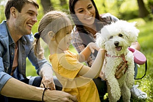 Beautiful happy family is having fun with bishon dog outdoors