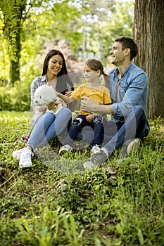 Beautiful happy family is having fun with bishon dog under the tree outdoors