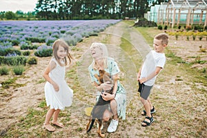 Beautiful happy family is having fun with mongrel dog puppy outdoors