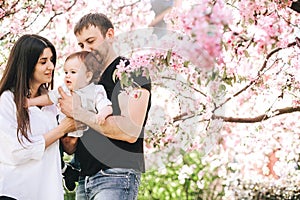 Beautiful happy family with a little boy in their arms are standing in an embrace near the tree of cherry blossoms, smiling. Backg