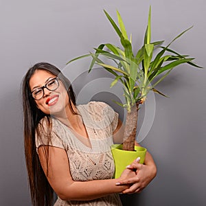 Beautiful happy woman holding plant in vase against gray background