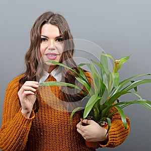 Beautiful happy woman holding plant in vase against gray background