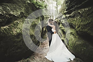 Beautiful happy young wedding couple posing on a background of rock cliff