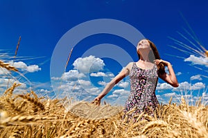 Beautiful happy young woman in golden wheat field with cloudy