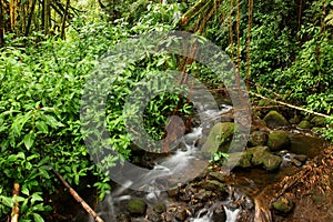 Beautiful Hawaii Big Island nature background