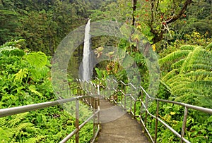 Beautiful Hawaii Big Island nature background