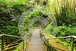 Beautiful Hawaii Big Island nature background