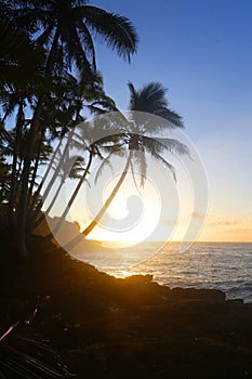 Beautiful Hawaii nature background with ocean