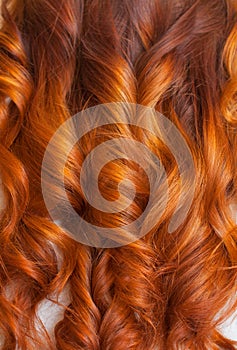 Beautiful, healthy, long, curly, red hair close up. Create curls with curling irons.