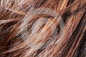 Beautiful healthy shiny brown hair texture