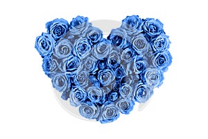 Beautiful heart made roses in a classic blue color on a white background. I love you. Greeting card.Valentine`s day