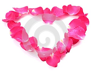 Beautiful heart of pink rose petals isolated on white