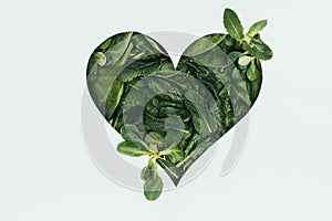 beautiful heart symbol made of fresh green leaves