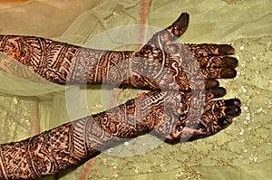 Beautiful Heena design woman hand photo
