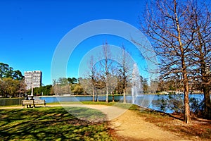 Beautiful Hermann Park in Houston