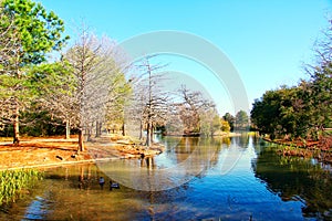 Beautiful Hermann Park in Houston