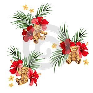 Beautiful hibiscus and cute bear illustration material,