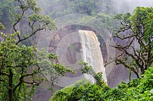 Beautiful hidden Ekom Waterfall deep in the tropical rain forest of Cameroon, Africa