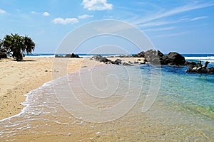 Beautiful hidden untouched tropical beach in Sri Lanka, blue sky, palms, ocaen and silence