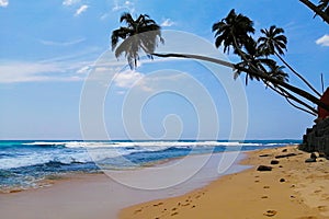 Beautiful hidden untouched tropical beach in Sri Lanka, blue sky, palms, ocaen and silence