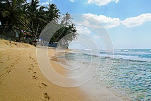 Beautiful hidden untouched tropical beach in Sri Lanka, blue sky, palms, ocaen and silence