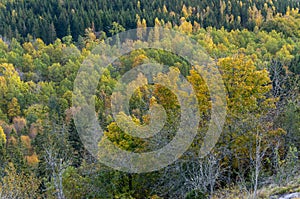 Beautiful high angle shot of a forest scenery in Ostergotland province of Sweden