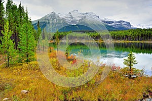 Beautiful high mountains of the Canadian Rockies reflecting in an alpine lake along the Icefields Parkway between Banff and Jasper