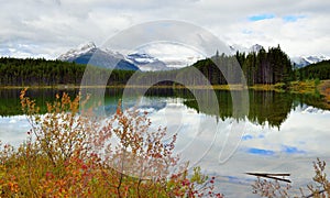 Beautiful high mountains of the Canadian Rockies reflecting in an alpine lake along the Icefields Parkway between Banff and Jasper