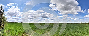 Beautiful high resolution summer landscape with fields, green grass and a stunning summer sky taken in northern germany