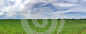 Beautiful high resolution summer landscape with fields, green grass and a stunning summer sky taken in northern germany