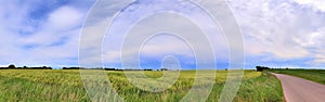 Beautiful high resolution summer landscape with fields, green grass and a stunning summer sky taken in northern germany