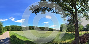 Beautiful high resolution summer landscape with fields, green grass and a stunning summer sky taken in northern germany