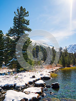 Beautiful highland mountain lake with fir forest on the shore