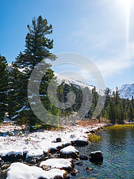 Beautiful highland mountain lake with fir forest on the shore and snow covered mountain range in distance