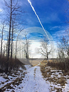 Beautiful hike through elk island national park in Alberta, Canada with a jet passing overhead