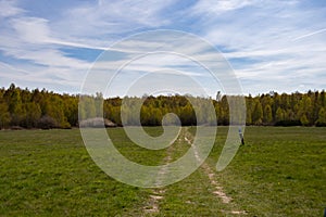 Beautiful hiking trail in the Drover Heide nature reserve