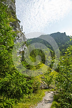 Krásny turistický chodník v regióne Nízke Tatry na Slovensku. Pešia cesta v horách a lese.