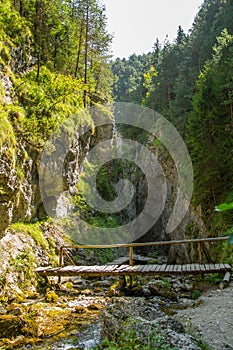 Krásny turistický chodník v regióne Nízke Tatry na Slovensku. Pešia cesta v horách a lese.